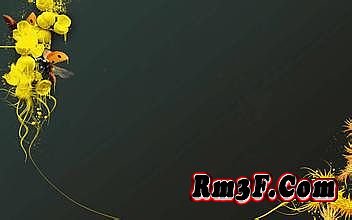 热血传奇手游值得玩吗