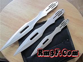 �����������μ��ſ���