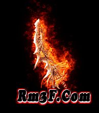 ���浥�����˲����